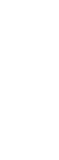 真龙脉
