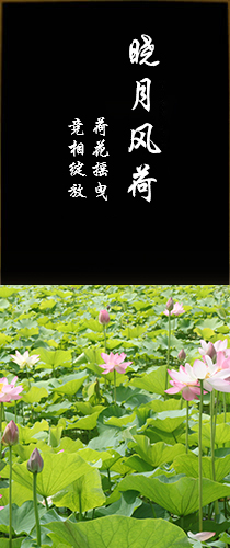 正规公墓