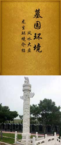 墓园环境