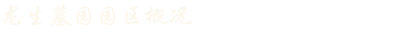 龙生墓园园区概况