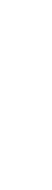 网上购墓