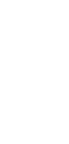 真龙脉