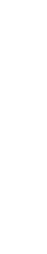 真龙结穴之处自成良穴