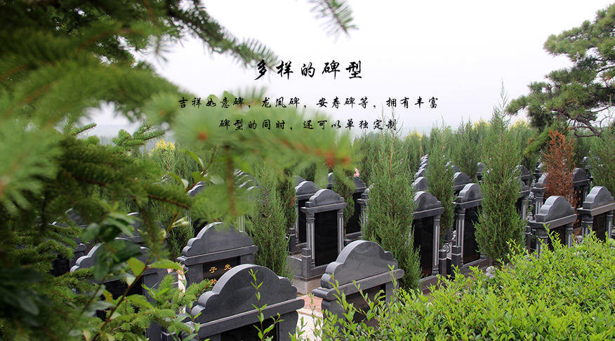 多样碑型