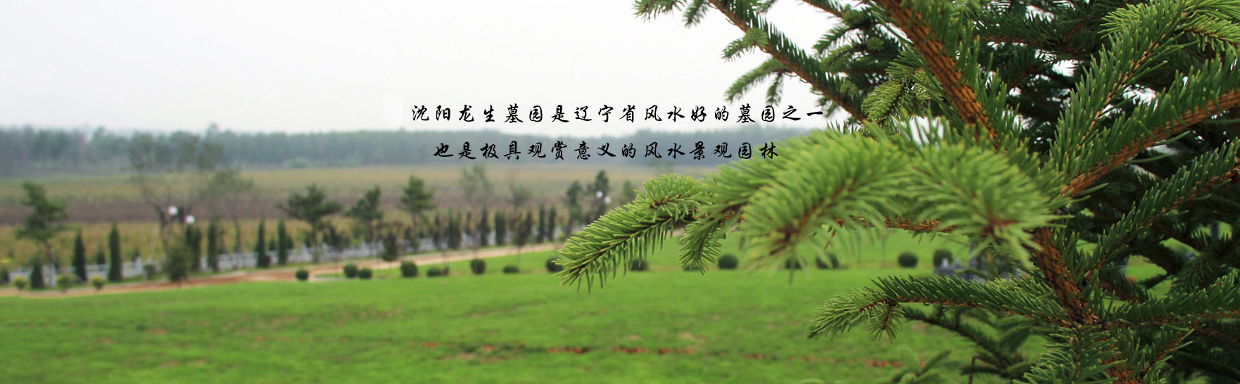 沈阳龙生墓园