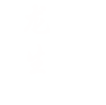 龙生墓园