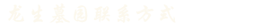 龙生墓园联系方式