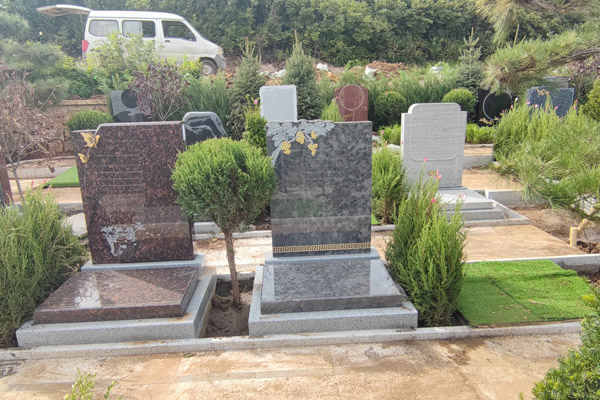 沈阳陵园的地理位置有哪些独特之处？这些特点对墓园的环境有何影响？