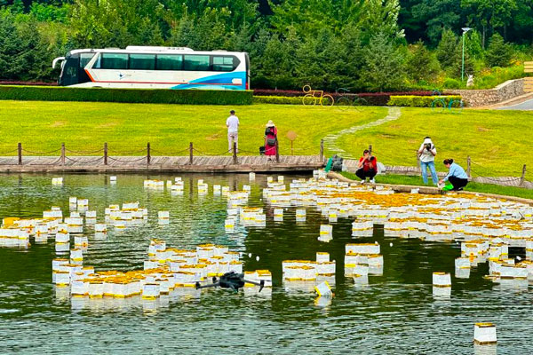沈阳墓地清明节安葬：如何选择可靠的安葬服务？
