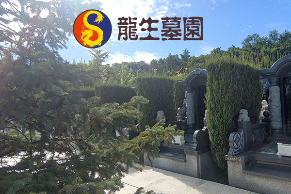 沈阳公益性墓地与经营性墓地：服务差异解析