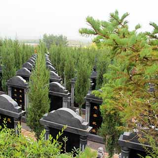 沈阳龙生墓园的葬地对于后世子孙影响如何