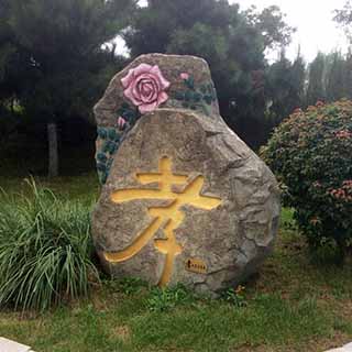 沈阳龙生墓园应用到了六爻预测阴宅风水了吗
