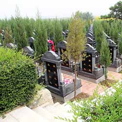 龙生墓园的墓地对后世子孙吉凶祸福的影响