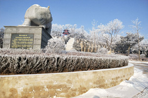 龙生墓园今日分享：24节气之小雪