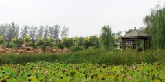 沈阳墓园教你如何选好墓地？