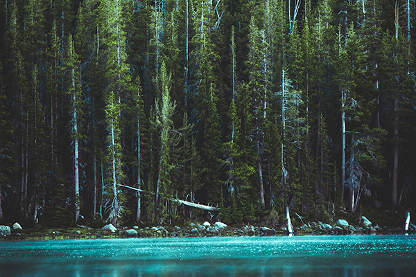 刚在沈阳墓园下葬后不能经常去看,有什么说法