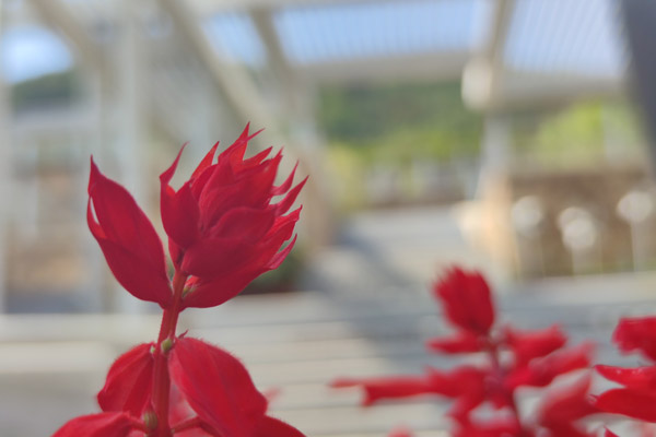 沈阳墓地选择风水常识？